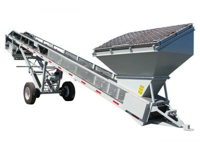 Screen Plant