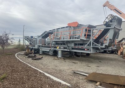 1998 Fasoli Cone Plant